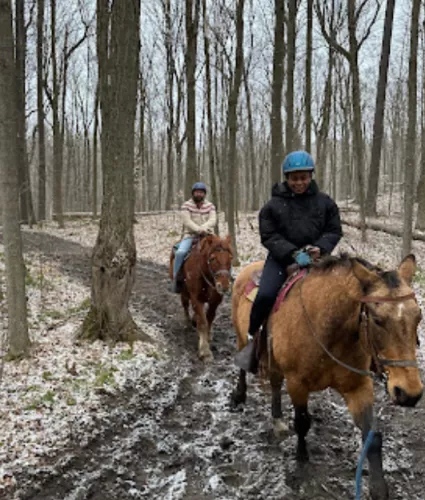 Two adults riding on horseback toward the camera during the winter with tall bare trees in the backgound